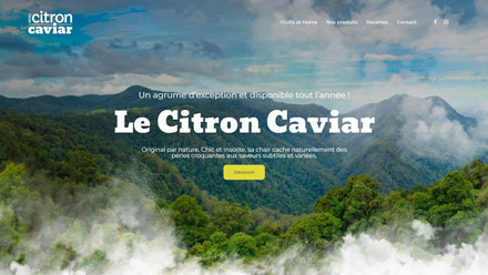 Le Citron Caviar